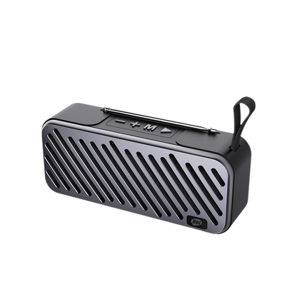 Wireless Speaker S31