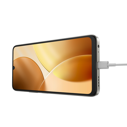 A100 | 128GB + 12GB*